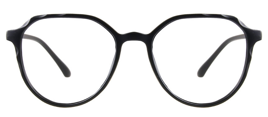 Fisher 2410 C2