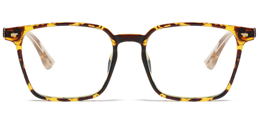Optically F3845 495