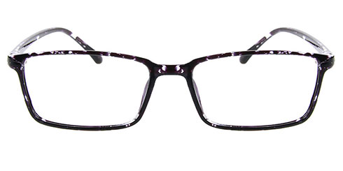 Fisher 2403 C5