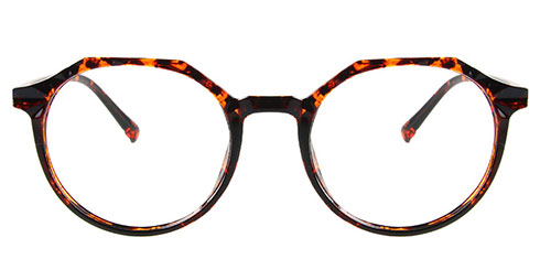 Fisher 2405 C3
