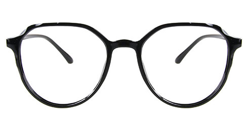 Fisher 2410 C1