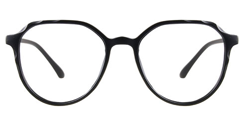Fisher 2410 C2