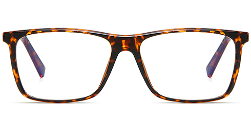 Optically F3315 2