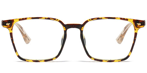 Optically F3845 495