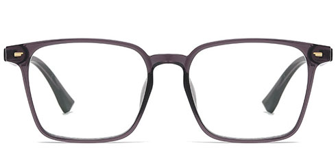 Optically F3845 596