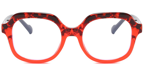 Optically F4851 8